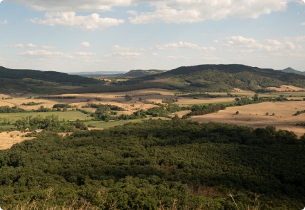 Lorem ipsum dolor sit amet, consectetur adipiscing elit