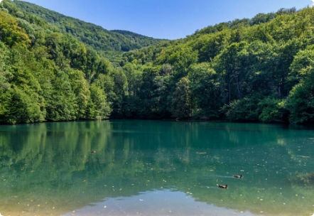 Lorem ipsum dolor sit amet, consectetur adipiscing elit