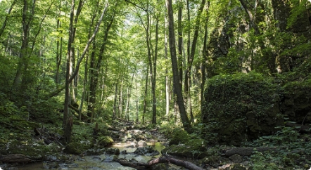 Vándorgyűlés regisztráció